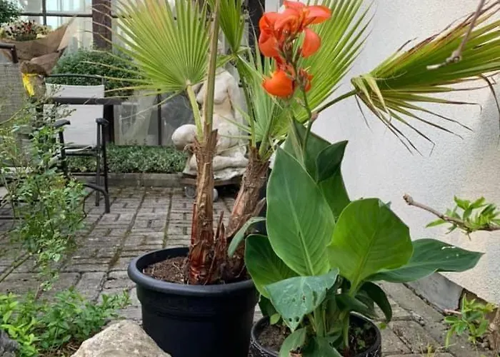 بيت للعطل Jaani 2